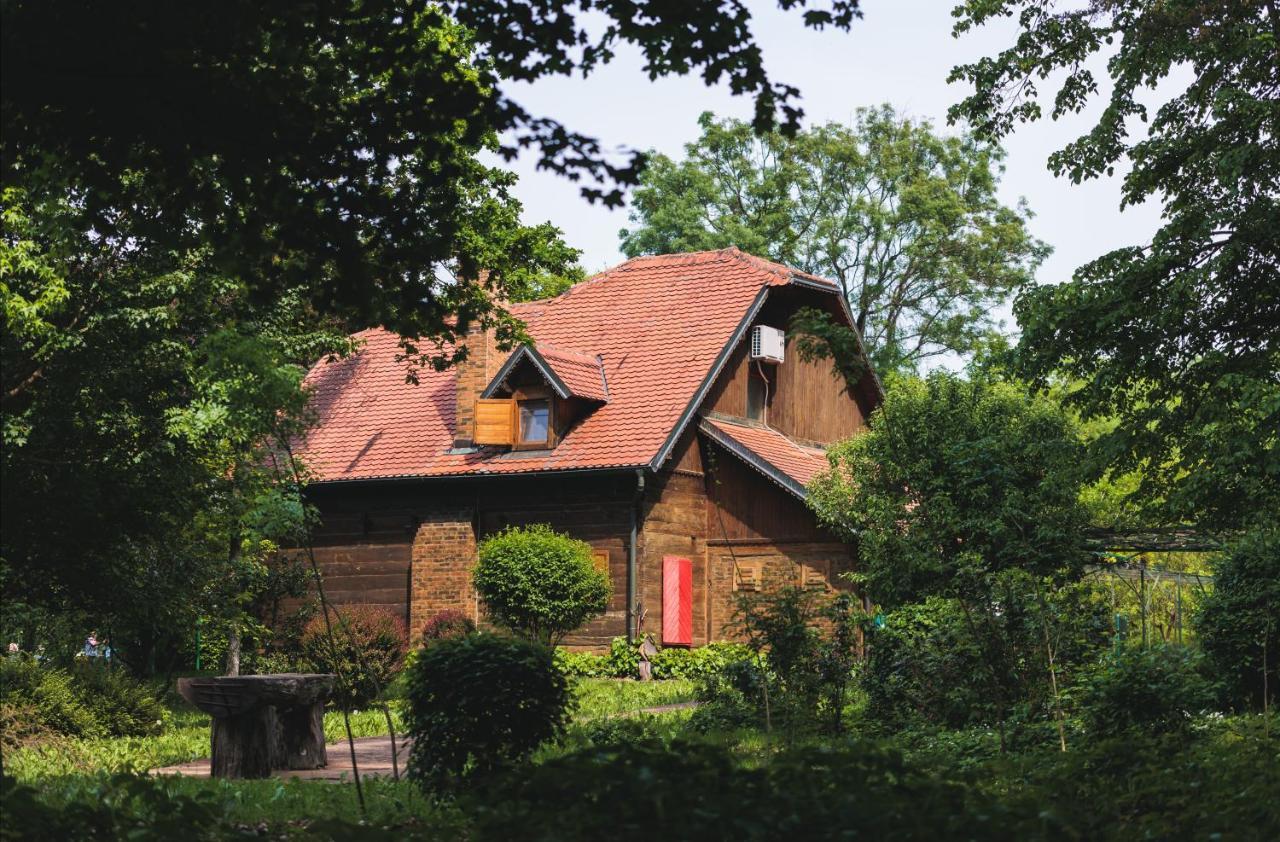Rajski Vrt - Lake House - Paradise Garden Сісак Екстер'єр фото